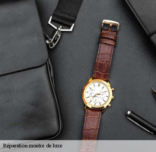 Réparation montre de luxe 78 Yvelines Horlogerie 78