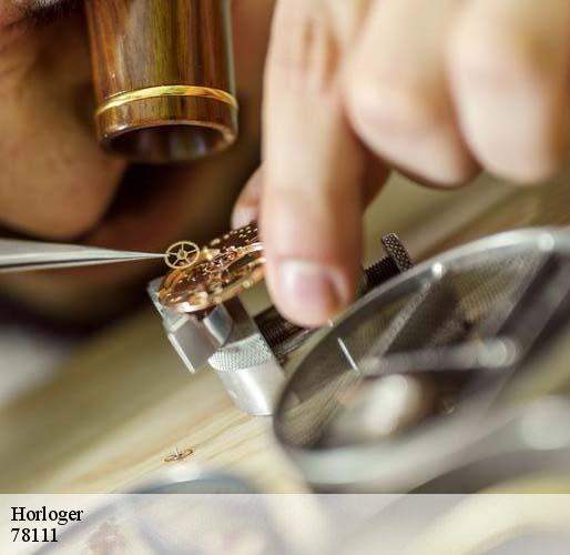 Horloger dammartin-en-serve-78111 Horlogerie 78