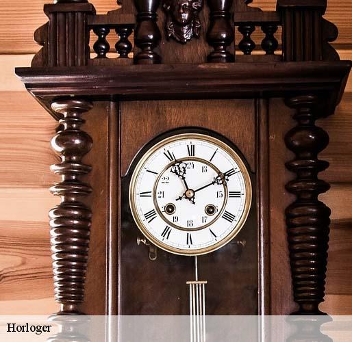 Horloger saint-germain-en-laye-78100 Horlogerie 78