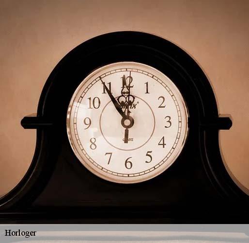 Horloger saint-germain-en-laye-78100 Horlogerie 78