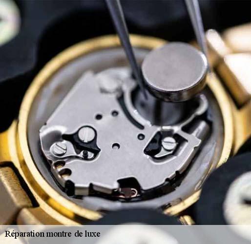 Réparation montre de luxe saint-germain-en-laye-78100 Horlogerie 78