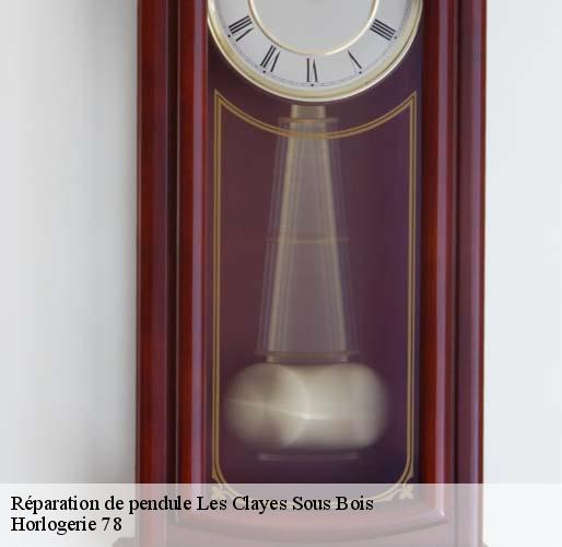 Réparation de pendule  les-clayes-sous-bois-78340 Horlogerie 78