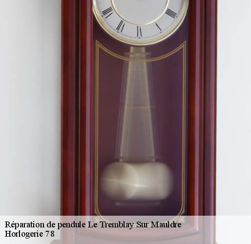 Réparation de pendule le-tremblay-sur-mauldre-78490 Horlogerie 78