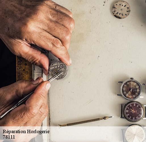 Réparation Horlogerie dammartin-en-serve-78111 Horlogerie 78